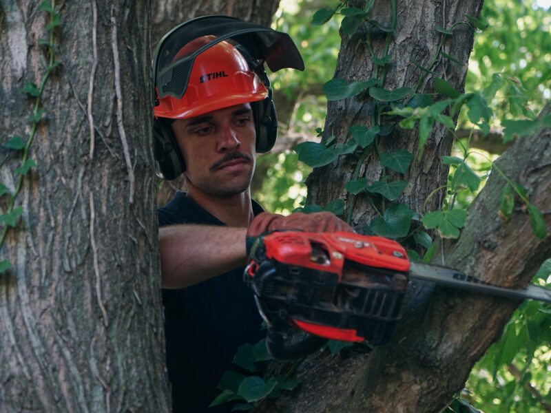 athieu de Marceille Paysagiste réalisant l’élagage d’un arbre à Perpignan