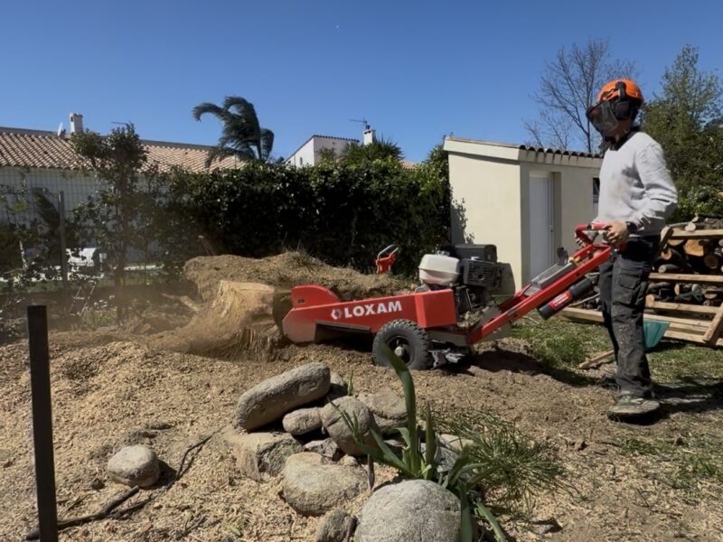 Professionnel réalisant le rognage mécanique d’une souche d’arbre à Perpignan